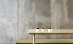 Minimalistyczne wnętrze z surową, betonową ścianą. Na jasnym drewnianym stole stoją trzy małe rośliny w białych doniczkach. Pytanie: czy beton architektoniczny można malować?