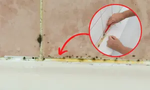 Skuteczne sposoby na to, czym wyczyścić silikon z płytek