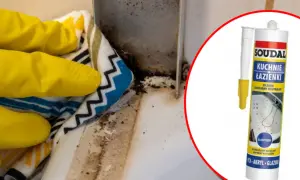 Rękawiczki w żółtych rękawiczkach czyszczą pleśń z narożnika, obok tubka silikonu.